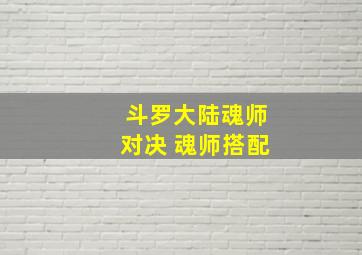 斗罗大陆魂师对决 魂师搭配